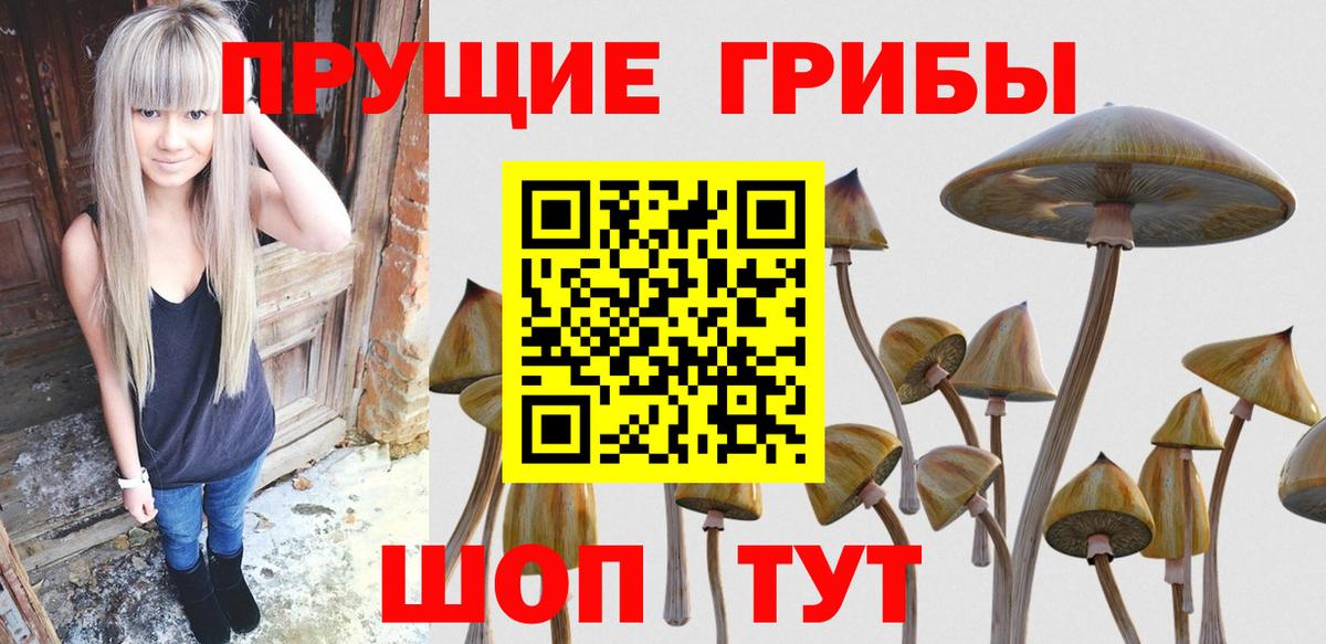 Зерноград  Псилоцибиновые грибы GOLDEN TEACHER  Вход с VPN 