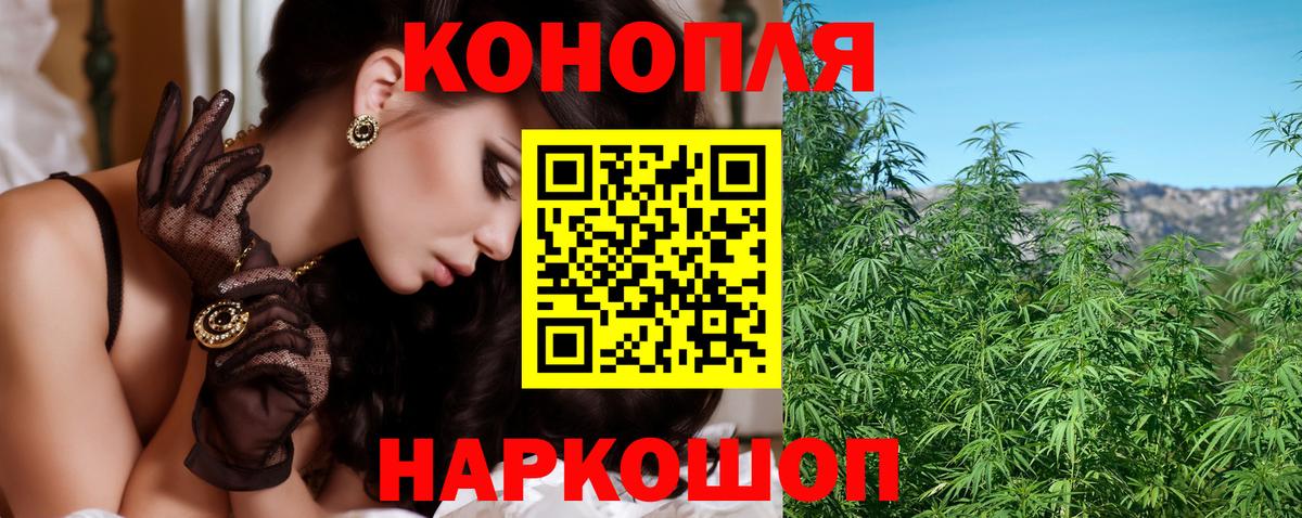 Бошки Шишки Amnesia  Конопля планчик  Зерноград  Вход с VPN  Конопля SATIVA & INDICA 